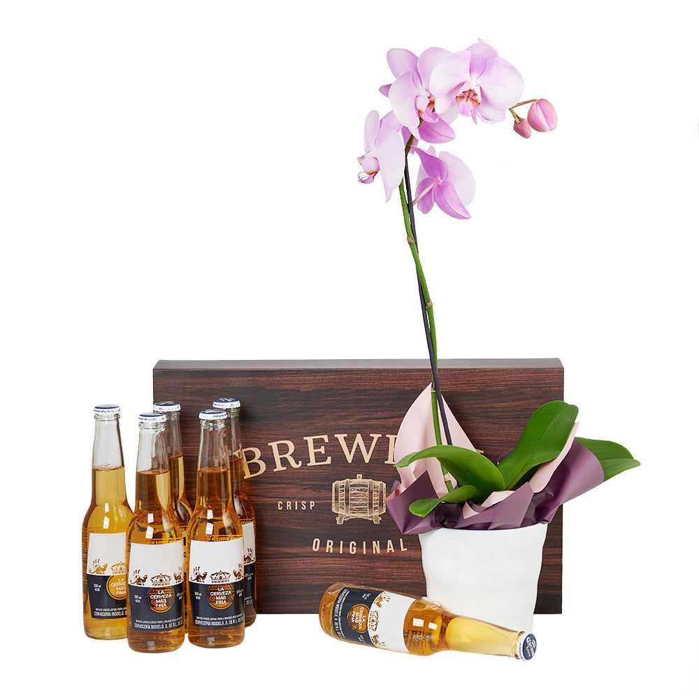 Beer Gift Basket with Orchid Planter – how the gift is presented