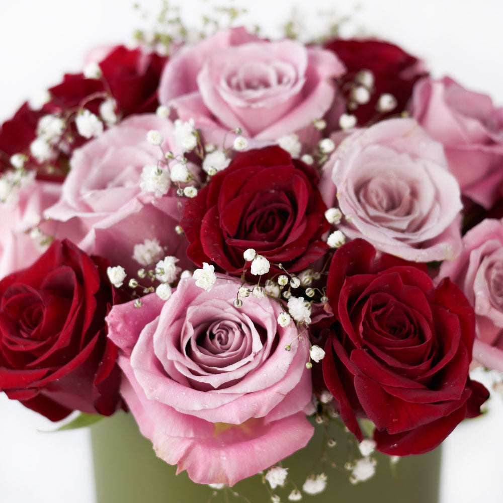Elegant Rose Duo Arrangment - Mixed Roses - Mother's Day Gift - Los Angeles Blooms - Los Angeles Delivery