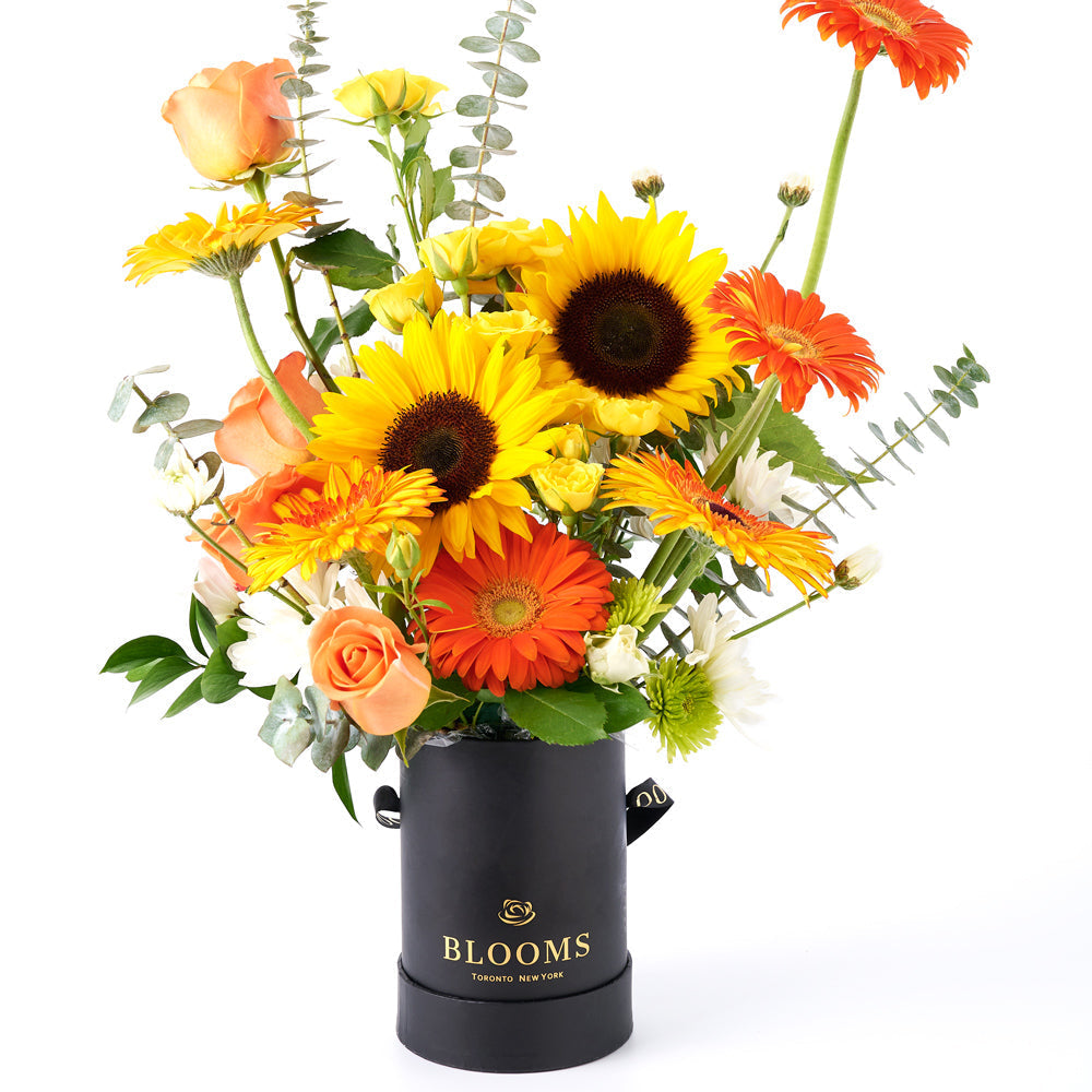 Sunflower and Mixed Bloom Floral Arrangement in Black Designer Box – how the gift is presented