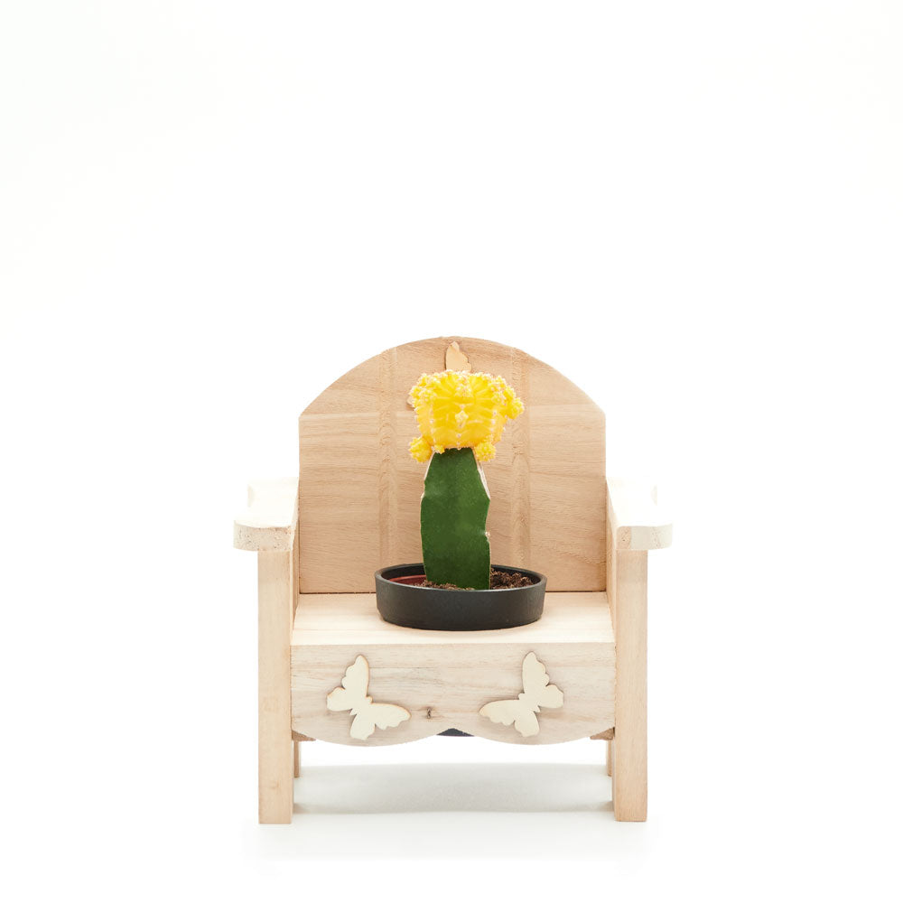 Rustic Wooden Chair Planter with Potted Cactus – how the gift is presented