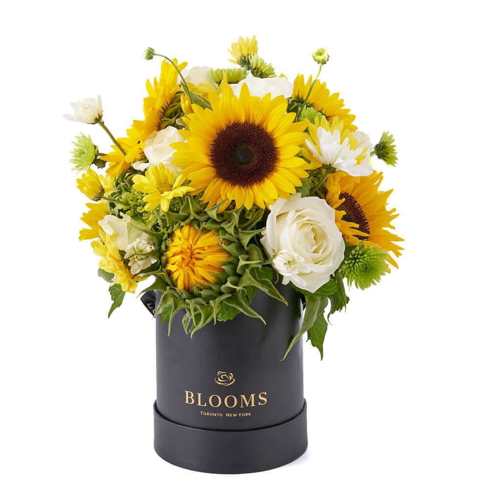 Deluxe Seasonal Flower Ensemble with Green Hydrangeas in Black Box – how the gift is presented