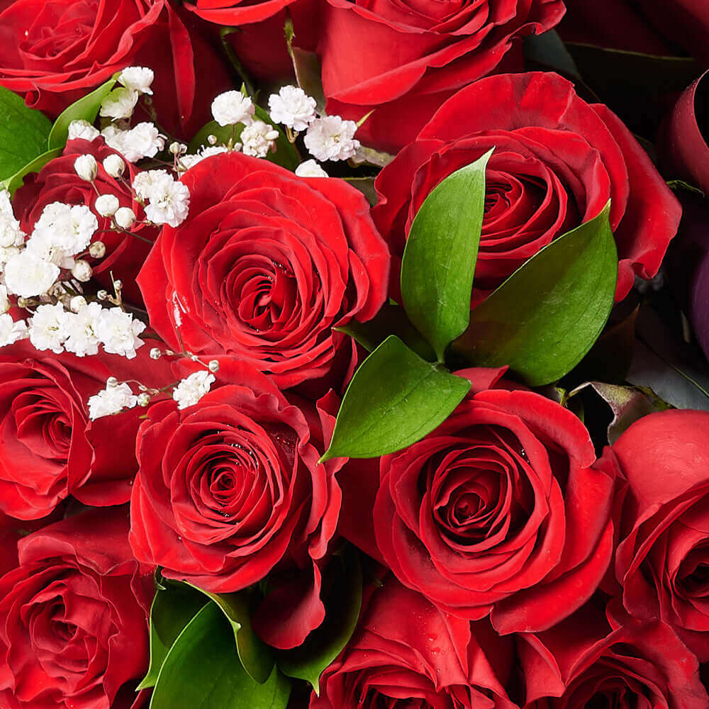 Valentine's Day 36 Red Roses Bouquet from Los Angeles Blooms, give your sweetheart the gift they have been waiting for this Valentine’s Day.