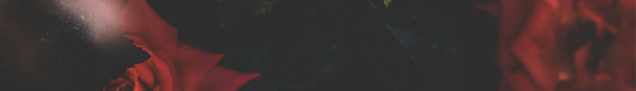 Same day flower delivery Toronto – Toronto flowers gifts