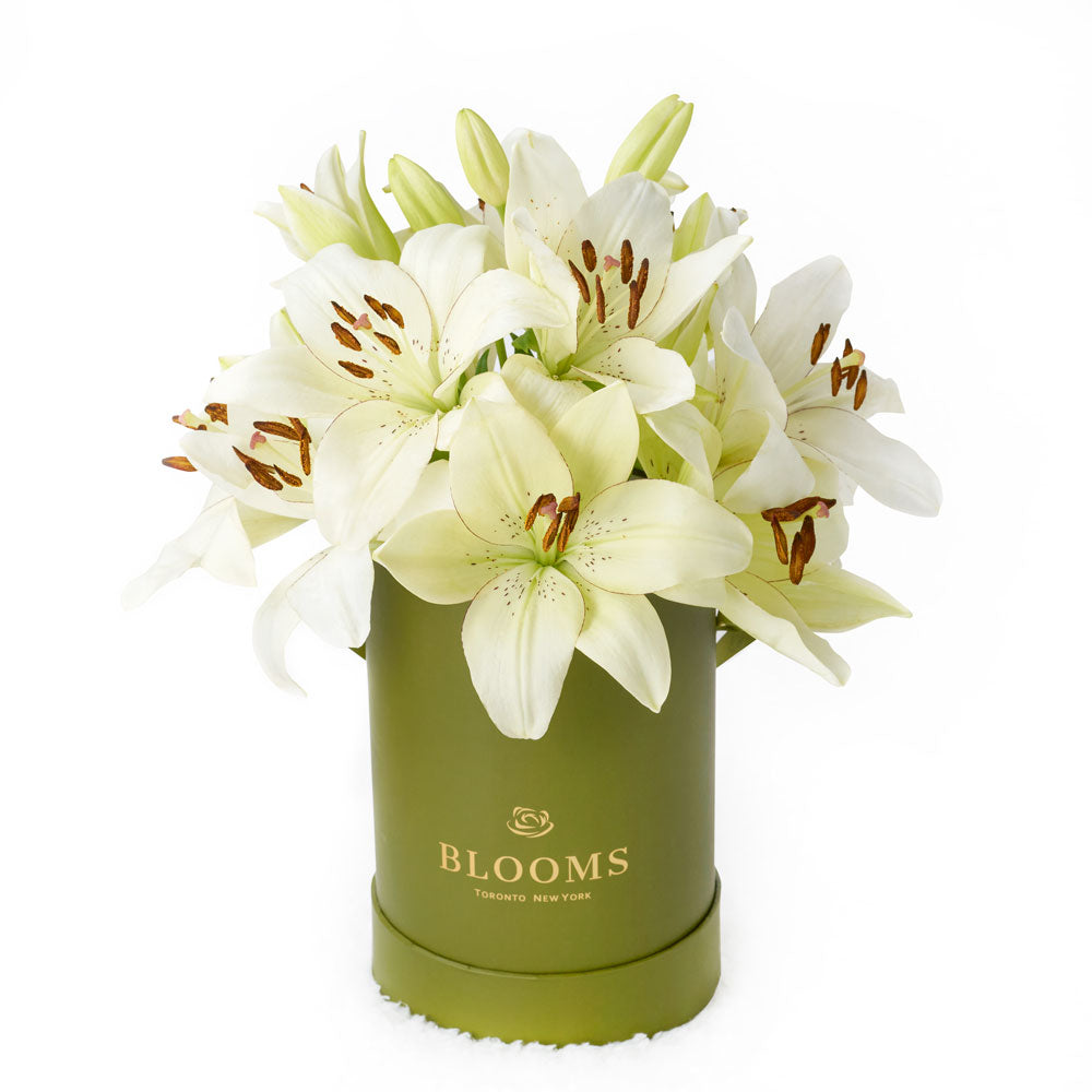 Cornsilk Surprise Lilies Box Arrangement from Los Angeles Blooms - Flower Gift - Los Angeles Delivery.