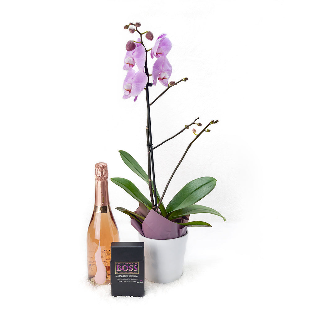 Deluxe Sparkling Wine Gift with Purple and White Orchids & BOSS Dark Chocolate – how the gift is presented