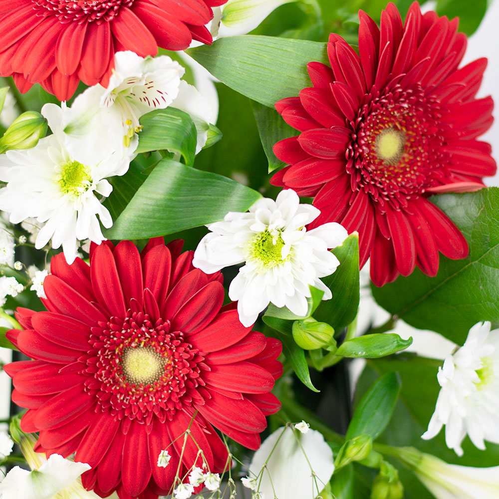 Fresh As a Daisy Gift Box is a stunning flower box arrangement from Los Angeles Blooms.