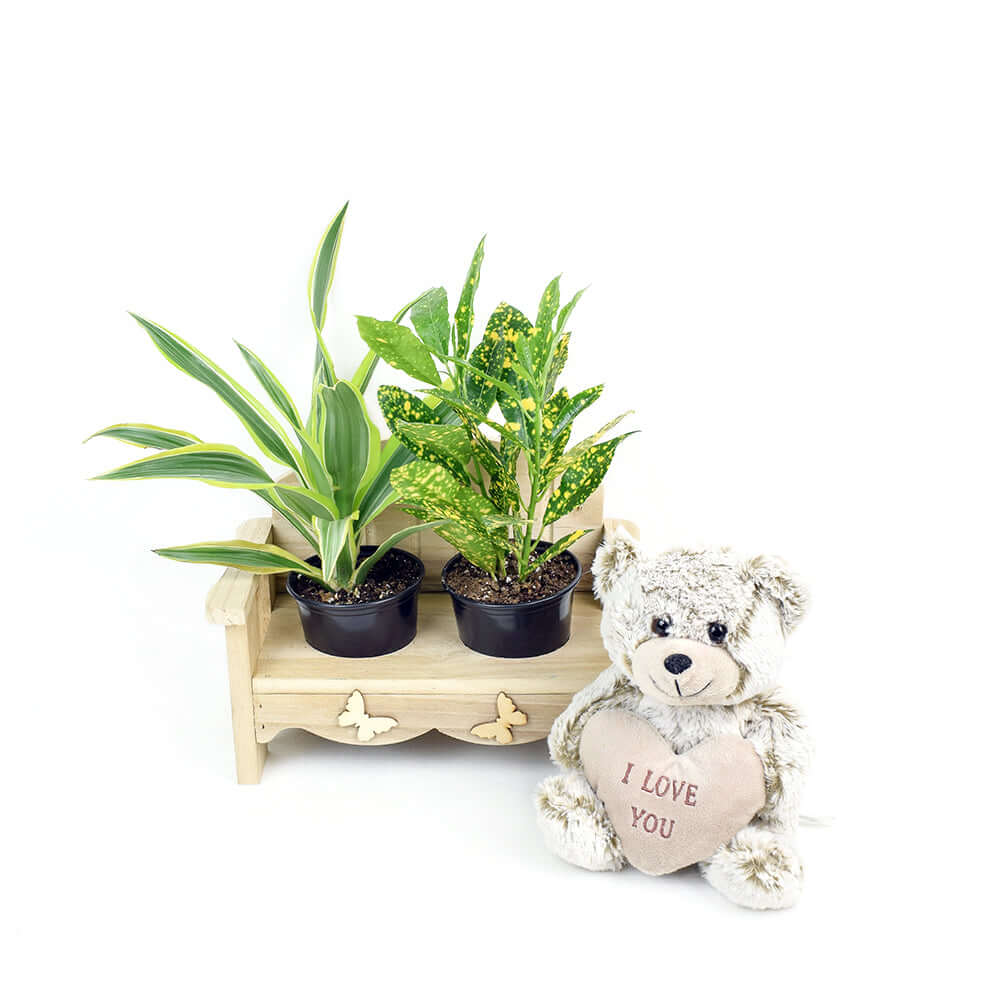 The Gardener's Chair. Los Angeles Blooms - Los Angeles Delivery
