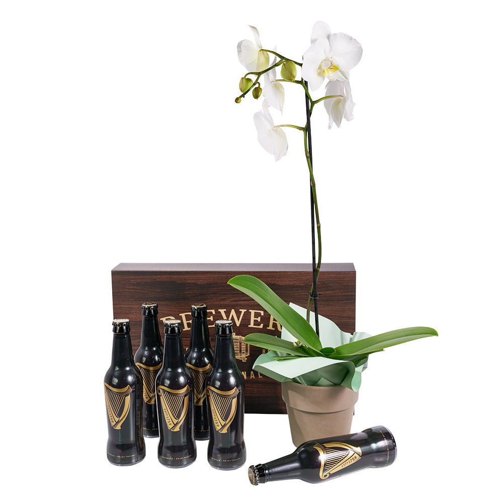 Guinness Beer and White Orchid Basket – how the gift is presented