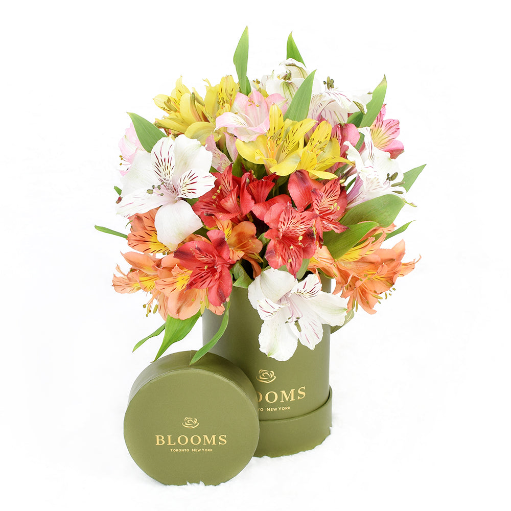 Chocolate Truffles Hat Box Gift – how the gift is presented