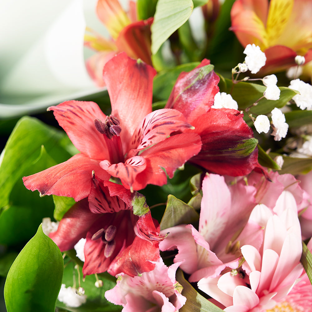 Parisian Brilliance Peruvian Lily Bouquet from Los Angeles Blooms - Mixed Flower Gift - Los Angeles Delivery.