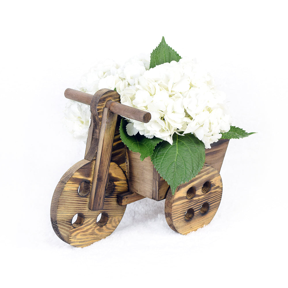 Chic White Hydrangea Floral Bouquet with Decorative Bicycle Planter – how the gift is presented