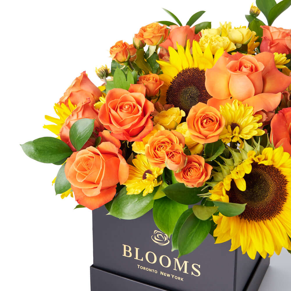 You Are My Sunshine Sunflower Box Gift - Los Angeles Delivery.