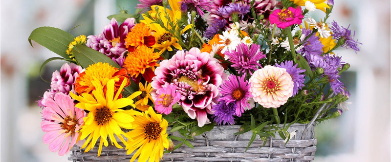 Same day flower delivery LA – LA flowers gifts - Nurse's Week Flower Gifts