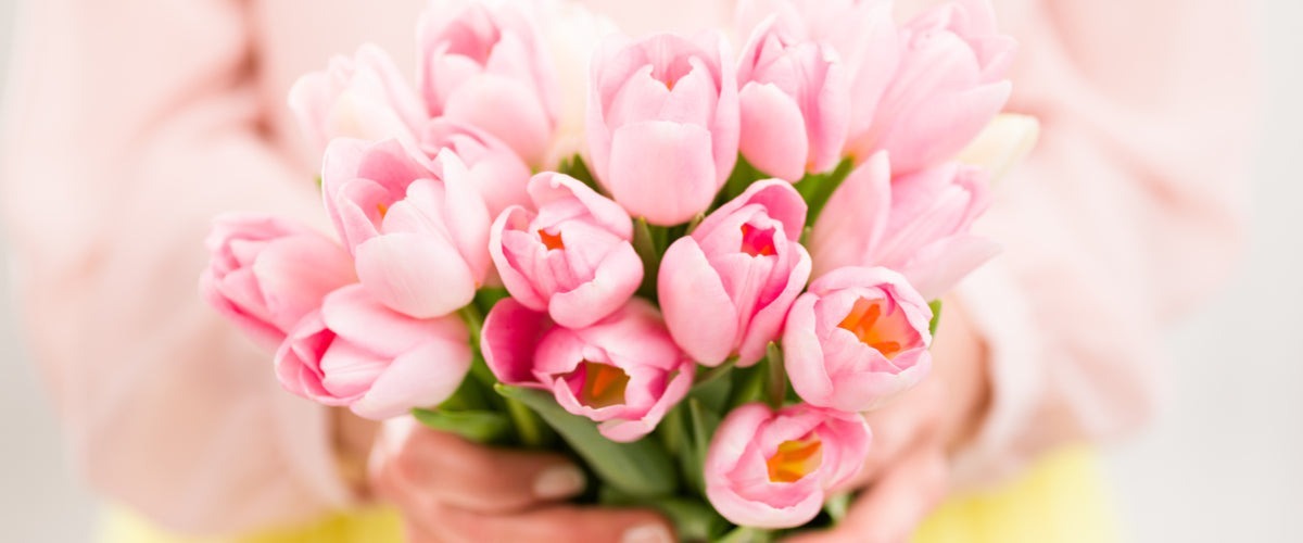 Tulips
