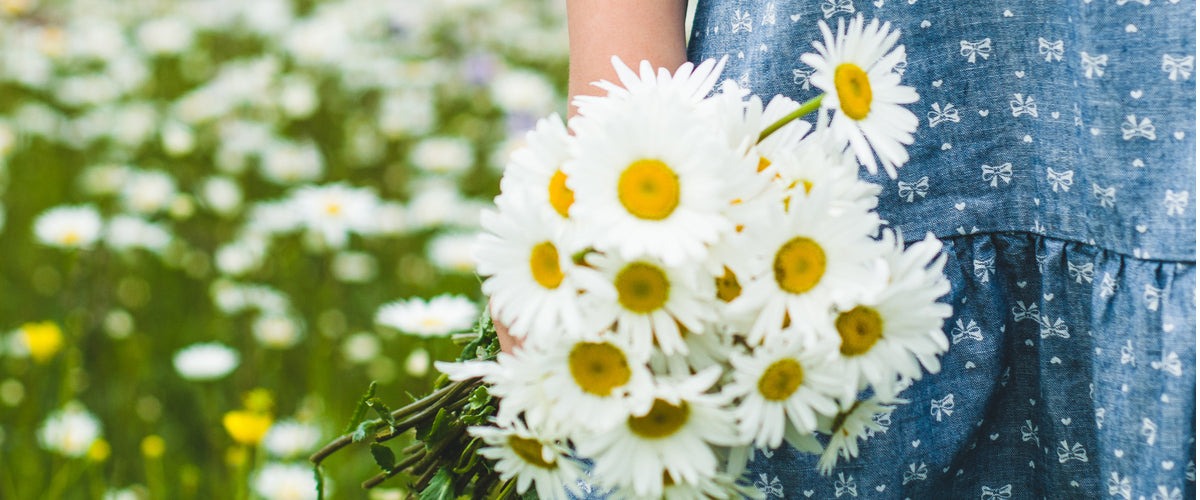 Daisies