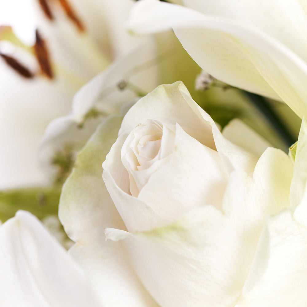 Alabaster Mixed Lily Arrangement – Los Angeles Blooms - Los Angeles Delivery
