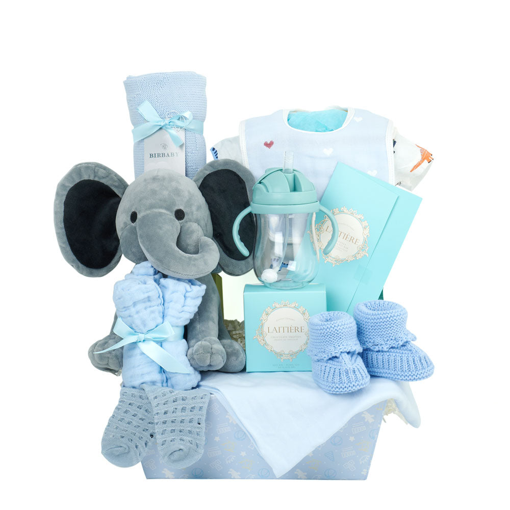 Baby Boy Bassinet - Baby Shower Gift Set – Los Angeles Blooms - Los Angeles Delivery