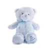 Blue Best Friend Baby Plush Bear, Baby Boy Plushies, Baby Toys, Baby Plushies, Plushy Toys,Los Angeles Blooms- Los Angeles Delivery