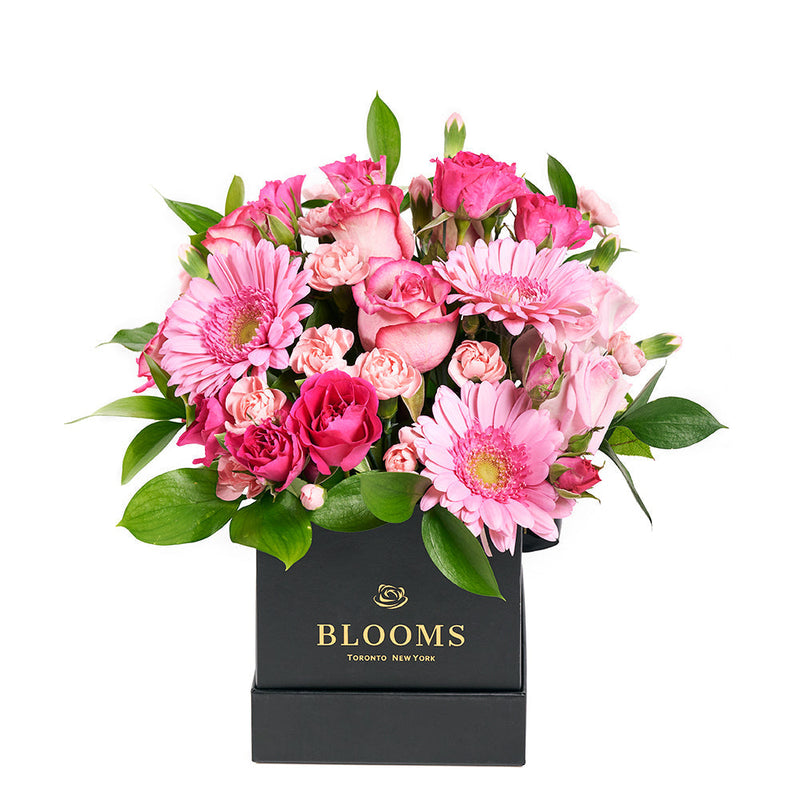 Color-Crazed Carnations Flower Gift - Mixed Floral Hat Box - Los Angeles Delivery