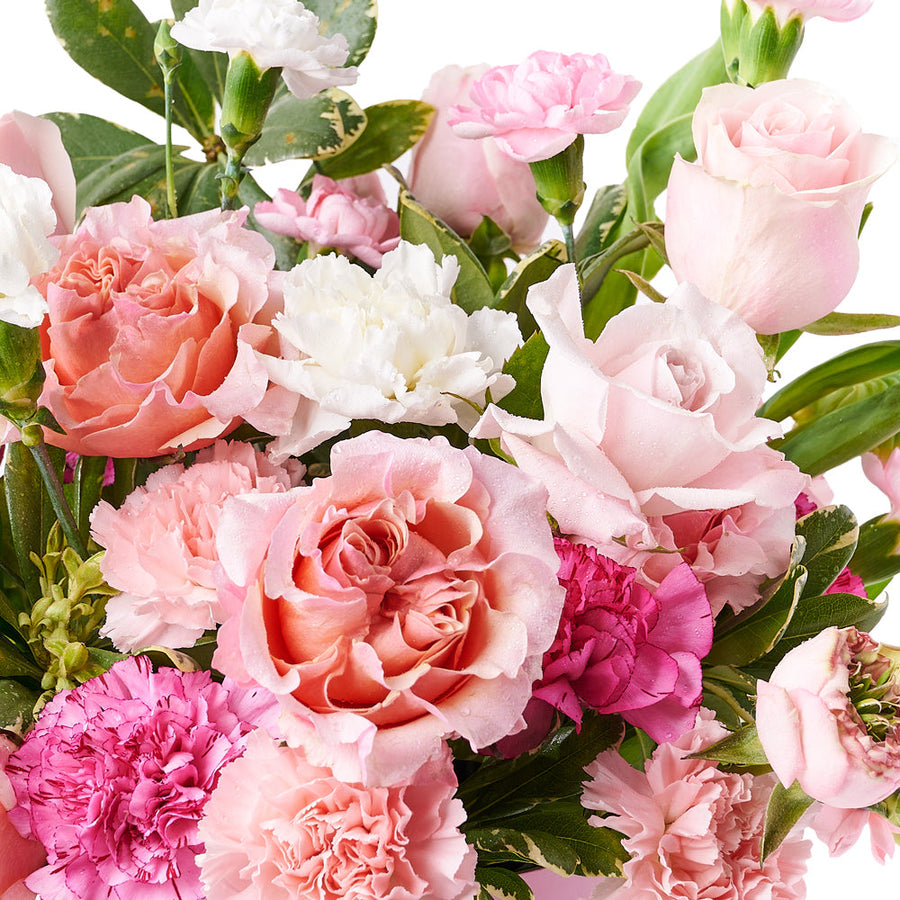Dazzling Rose & Carnation Gift Box