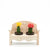 Desert Bench Cactus Arrangement