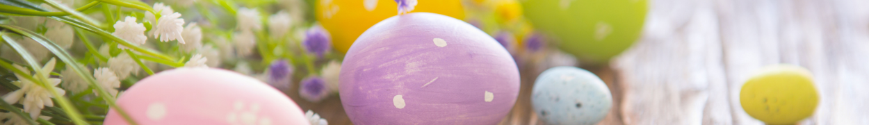 Same day flower delivery Toronto – Toronto flowers gifts