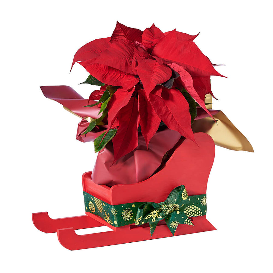 Festive Poinsettia Sleigh, christmas gift, holiday gift - Los Angeles Delivery.