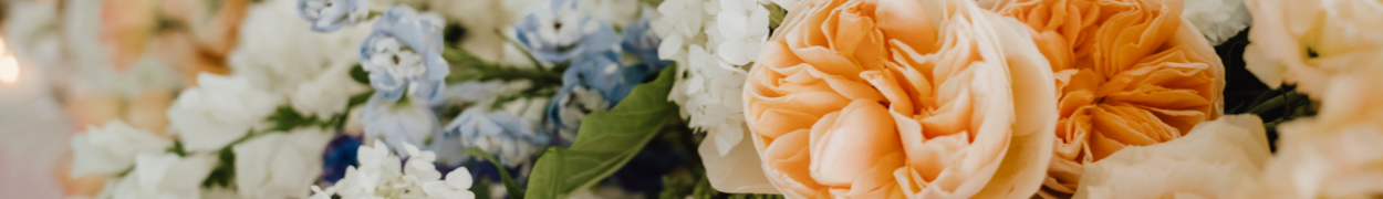 Same day flower delivery Toronto – Toronto flowers gifts