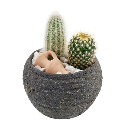 Forever Green Cactus Plant from Los Angeles Blooms - Plant Gift - Los Angeles Delivery.