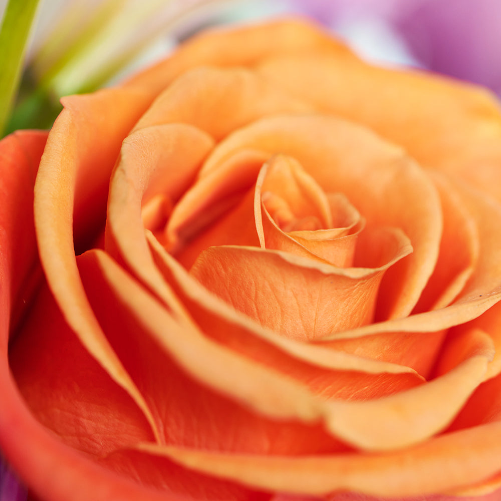 Heavenly Scents Flowers & Candle Gift - Mixed Flower and Candle Set - Los Angeles Blooms - Los Angeles Delivery