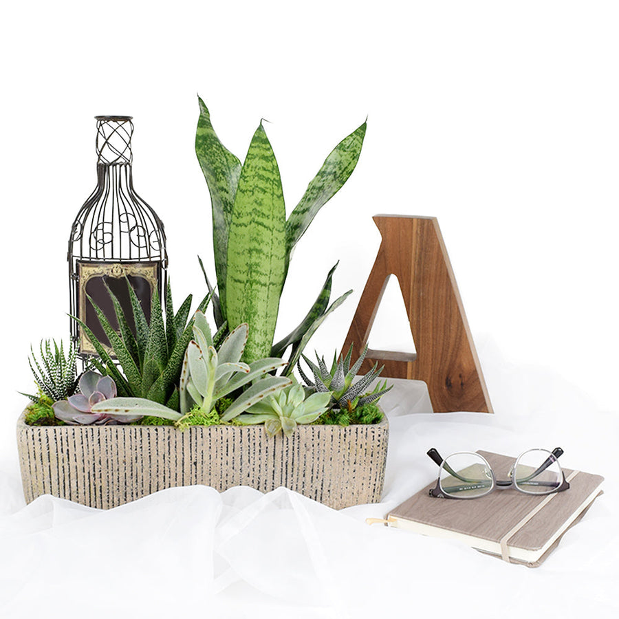 The Indoor Succulent Garden from Los Angeles Blooms make for a perfect gift or as decoration at home or an office desk.