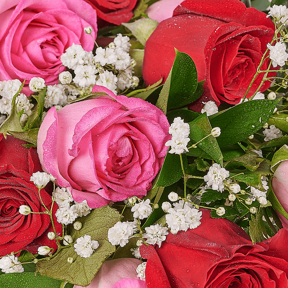 Mother’s Day 12 Stem Red & Pink Bouquet, rose gift, rose, mothers day gift, mothers day, Los Angeles delivery