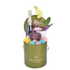 Mother’s Day Champagne, Orchid & Treat Gift Box - Gift Basket Set - Mother's Day Gift - Los Angeles Blooms - Los Angeles Delivery
