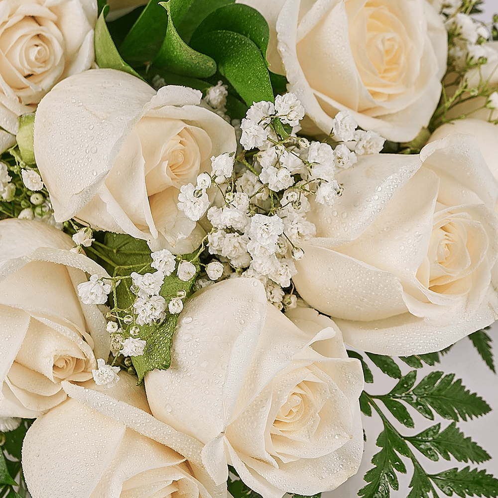 Mother’s Day Dozen White Rose Bouquet, mothers day gift, mothers day, rose gift, rose, Los Angeles delivery