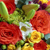 Love in Casablanca Mixed Rose Bouquet from Los Angeles Blooms is a great gift to woo your beloved and whisk them away for a special celebration.