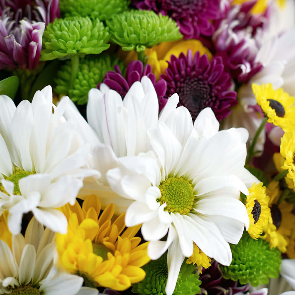 Mother's Day Wildflower Daisy Bouquet - Los Angeles Blooms Delivery.
