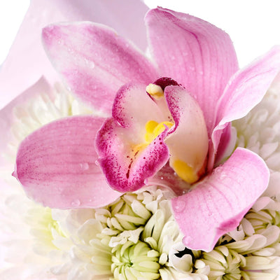 Orchid & Daisy Floral Gift Box, gift baskets, floral gifts, mother’s day gifts. Los Angeles Delivery