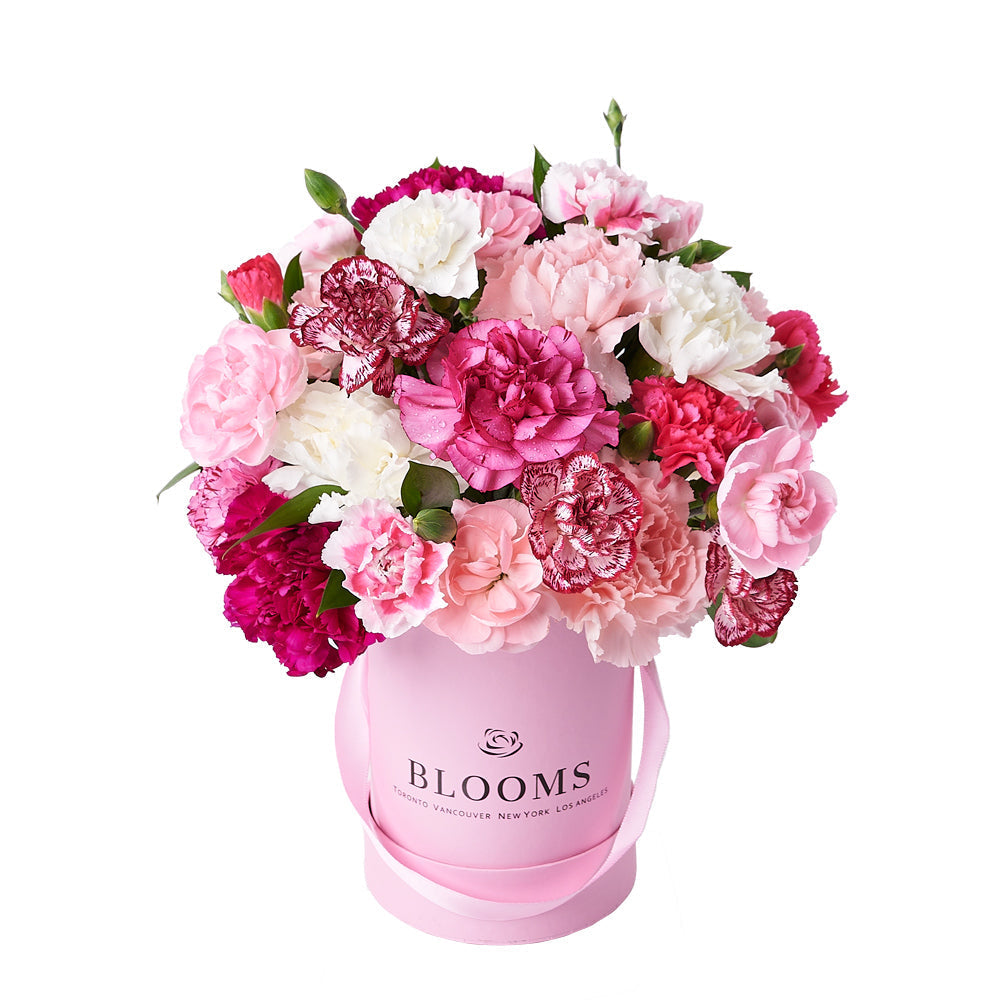 Floral Gift Featuring Pink Carnations in Round Box – how the gift is presented