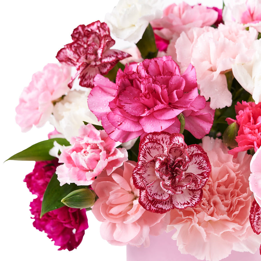 Perfectly Pink Carnation Gift Box, gift baskets, floral gifts, mother’s day gifts. Los Angeles Blooms