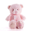 Pink Best Friend Baby Plush Bear, Baby Toys, Baby Gifts, Baby Plushies, Plushie Gifts, Los Angeles Blooms- Los Angeles Delivery