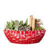 Potted Christmas Plant Arrangement from Los Angeles Blooms - Los Angeles Delivery.