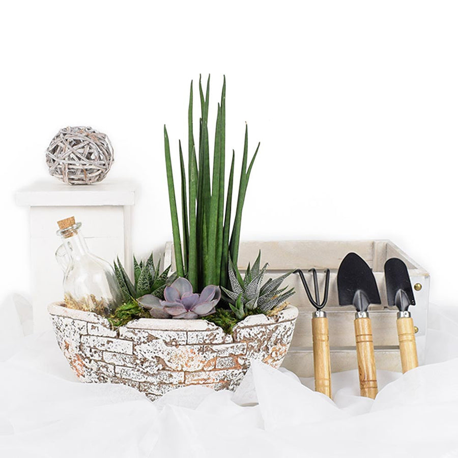 Potted Succulent Garden, floral gift baskets, gift baskets, succulent gift baskets. Los Angeles Blooms