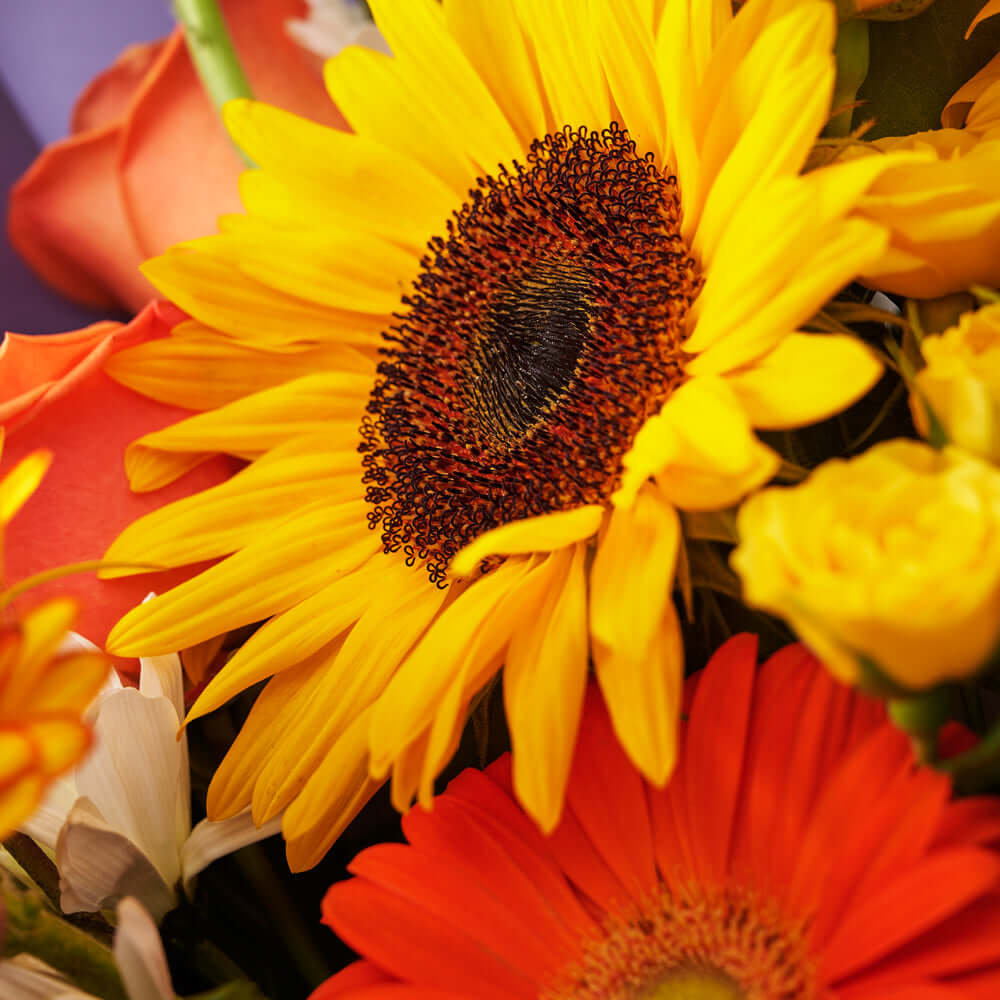 Ray of Hope Sunflower Bouquet, sunflower bouquet, assorted flowers bouquet, sunflowers, flowers, bouquet delivery Los Angeles, Los Angeles Blooms