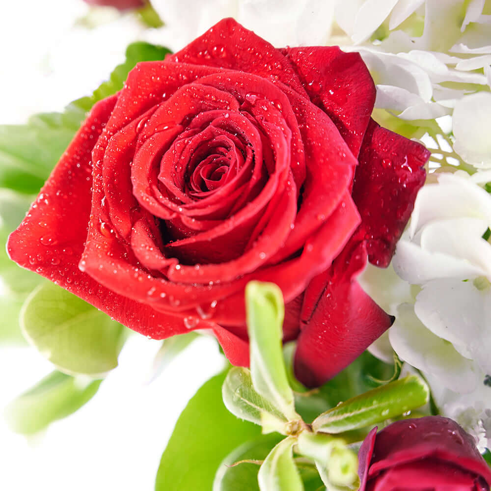 Rose and Hydrangea Vase with Wine. Wine Gift Set - Same Day Los Angeles Delivery.