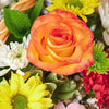 Spirits & Bountiful Mixed Rose Gift Set – Liquor Gifts – Same Day Los Angeles Blooms