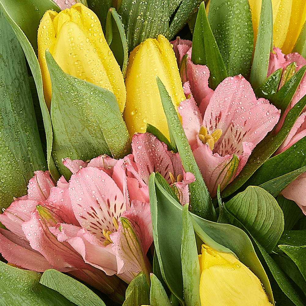 Spring Radiance Mixed Bouquet, tulip gift, tulips, flower gift, flower, seasonal flower gift, seasonal flower, Los Angeles delivery