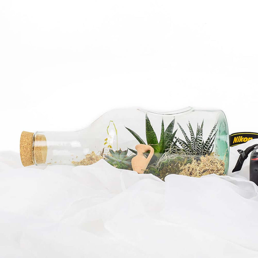 A fun floral gift that’s sure to delight any recipient, the Succulent Garden in a Bottle from Los Angeles Blooms