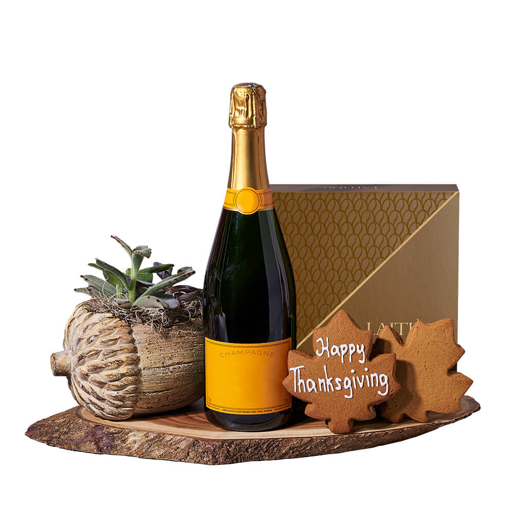Thanksgiving Champagne & Succulent Gift, sparkling wine gift, sparkling wine, champagne gift, champagne, plant gift, plant, thanksgiving gift, thanksgiving