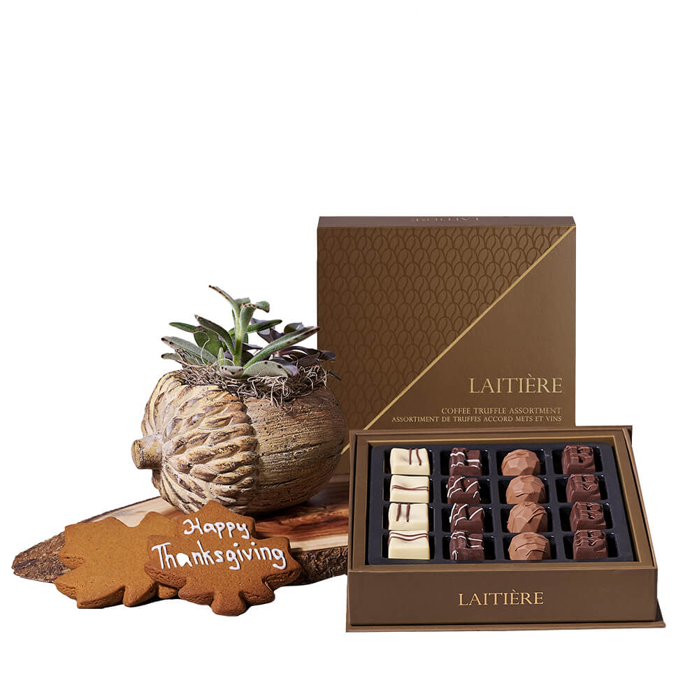 Thanksgiving Succulent & Cookie Gift, thanksgiving gift, thanksgiving, chocolate gift, chocolate, plant gift, plant