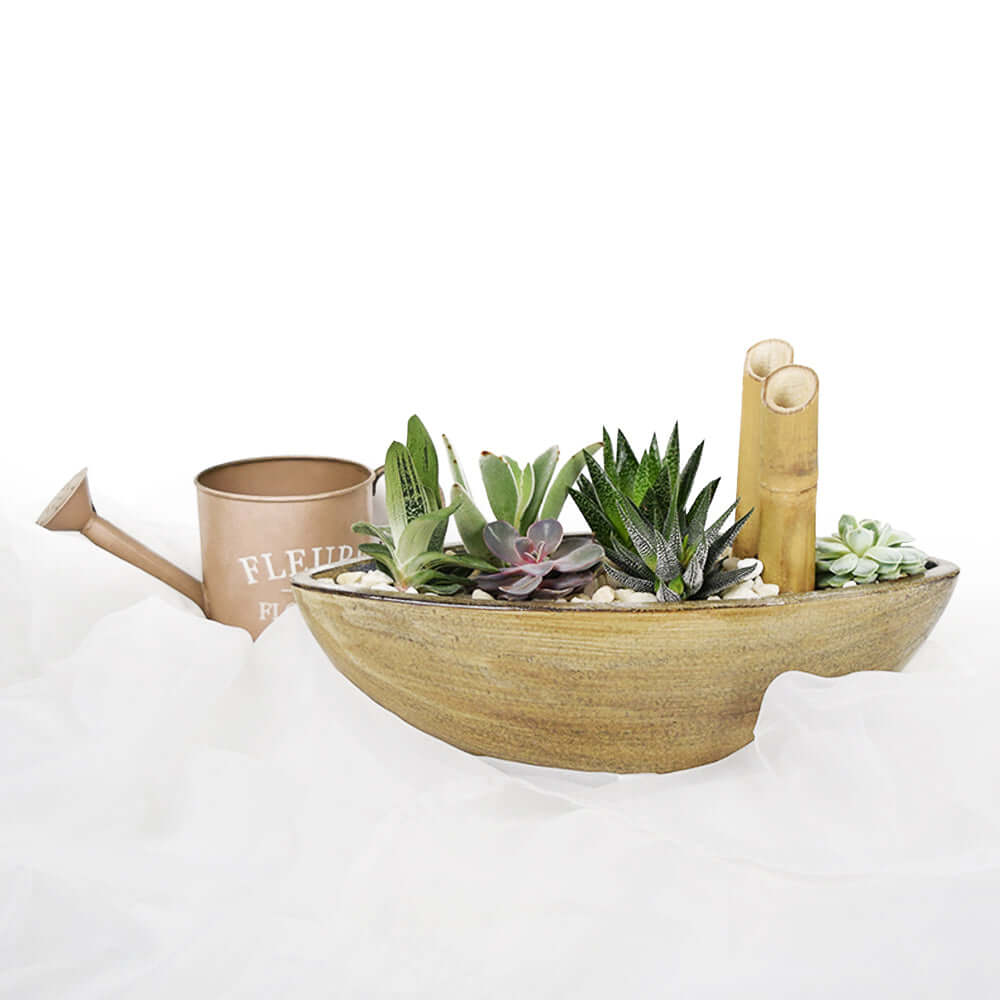 Give a gift that will brighten up a home or garden with the Tropical Plant Garden from Los Angeles Blooms.